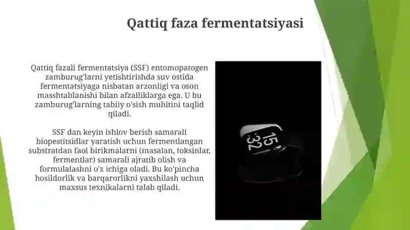 Zamburug‘li entomopatogen pereparatlar 3