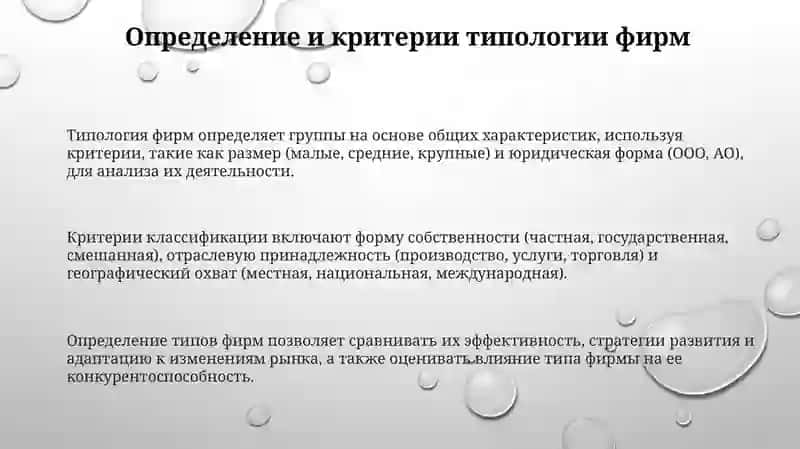 Типология Фирм 3