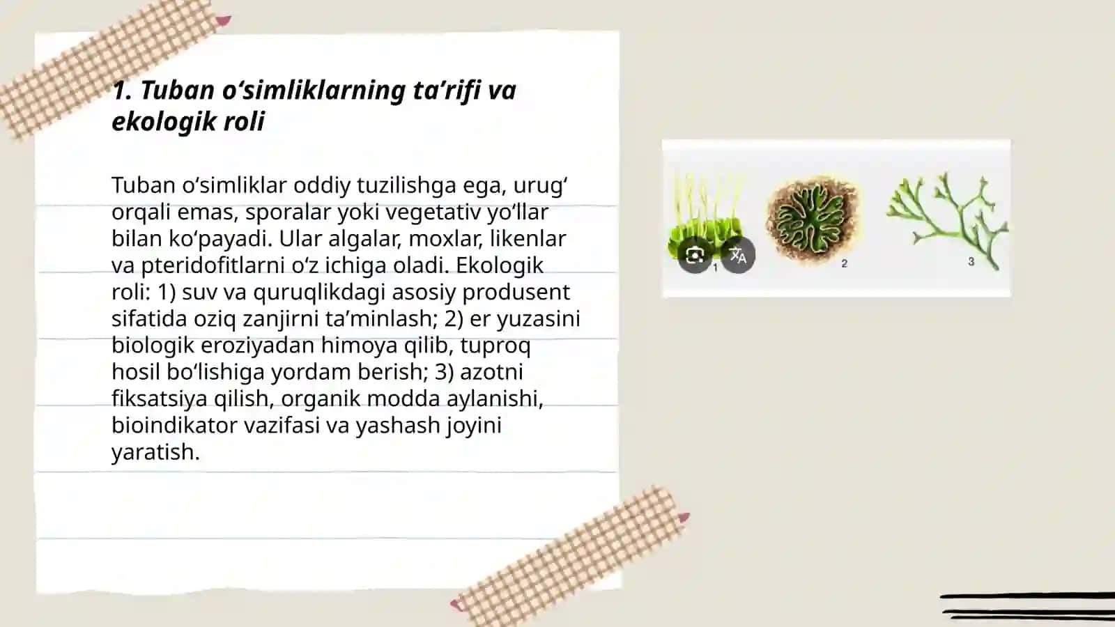 Tuban oʻsimliklar 3