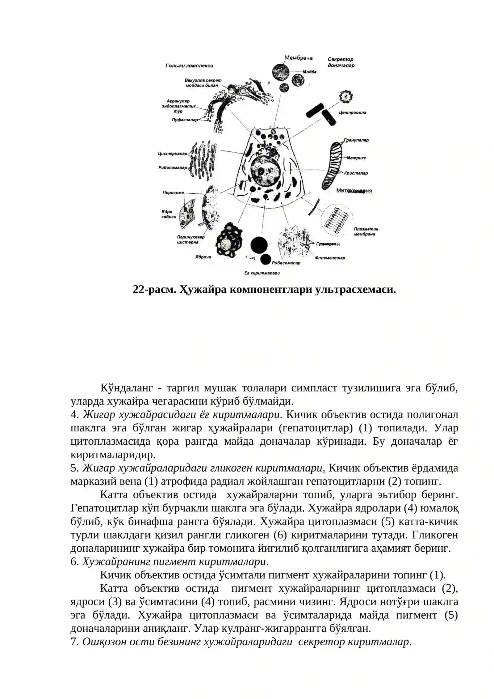 Умумий цитология 3