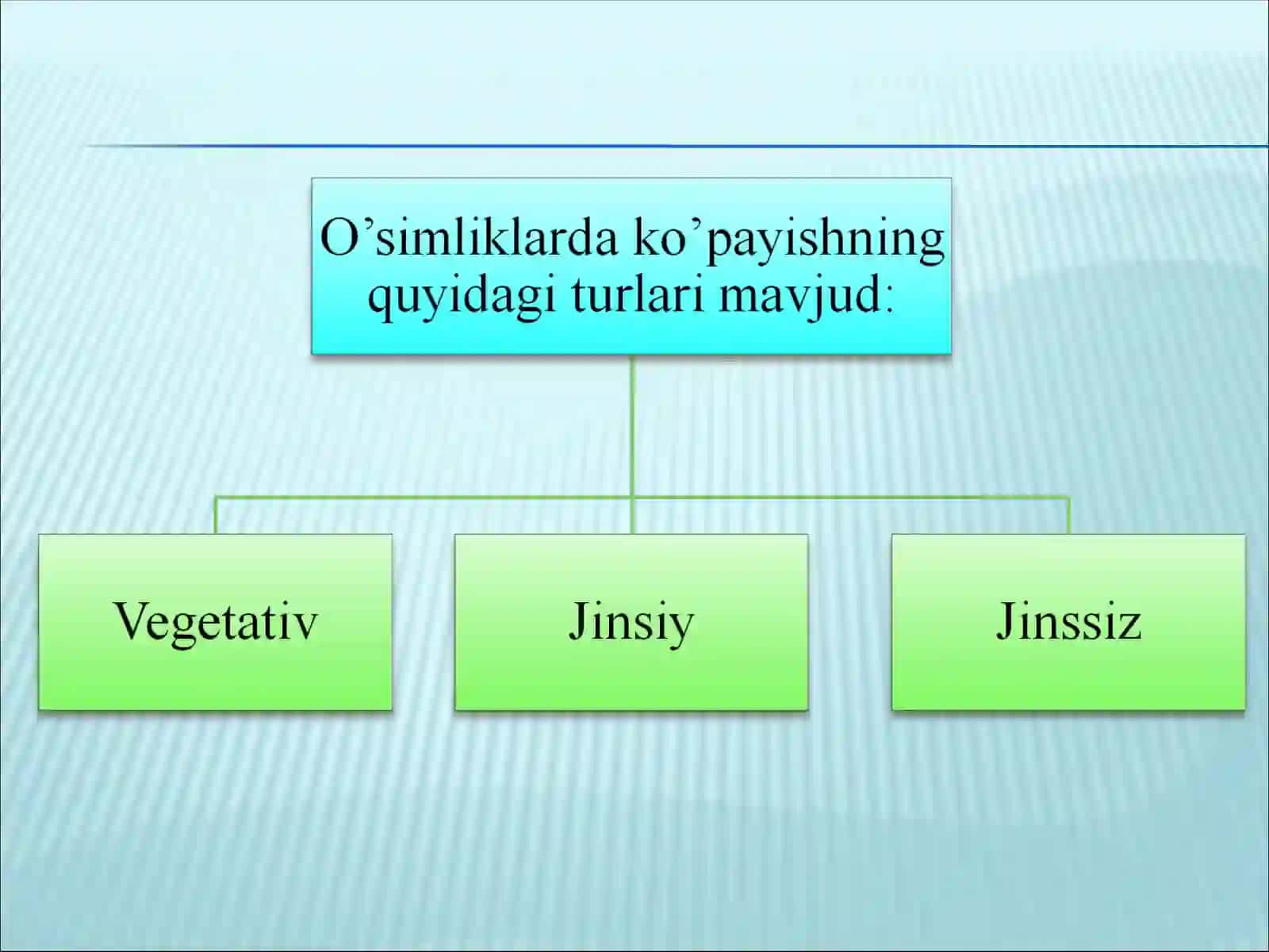 O'simliklarning vegetativ ko'payishi 3