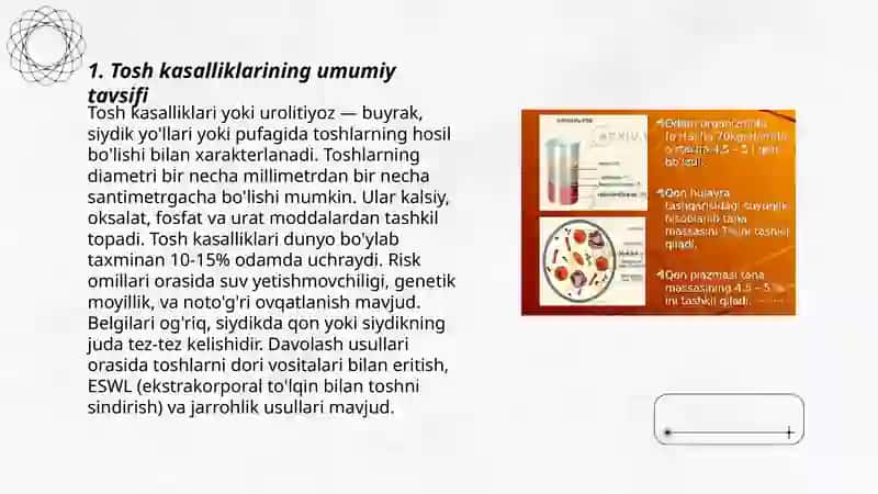 Tosh kasalliklarining kimyoviy asoslari 3