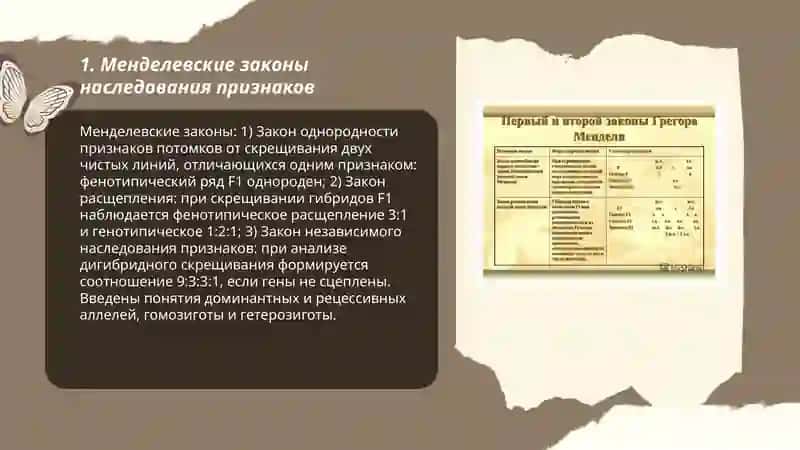 Законы наследования признаков 3