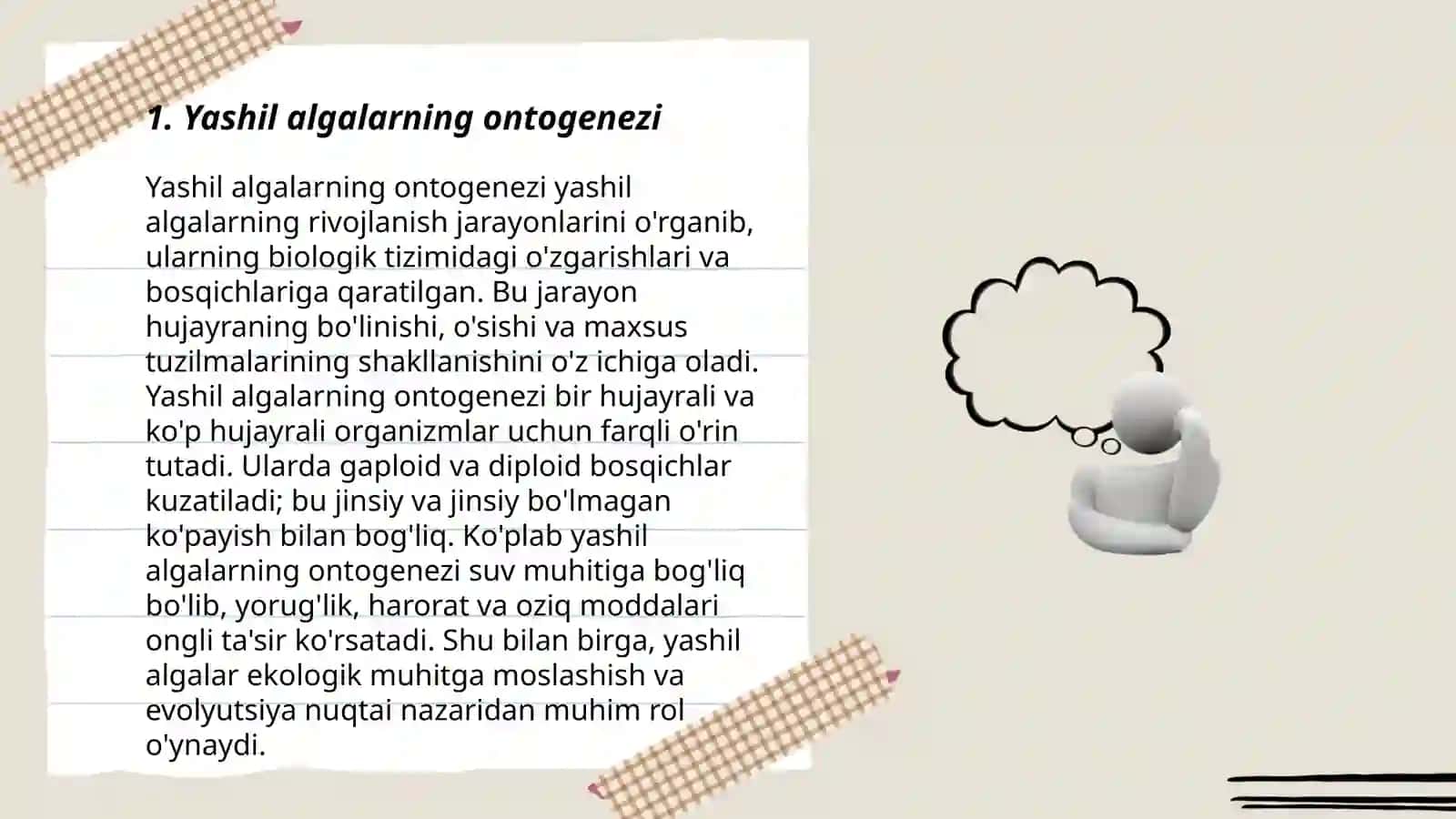 Umurtqali hayvonlar ontogenezi 3