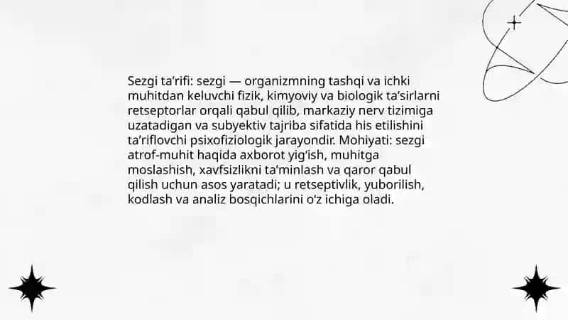 Sezgi 3