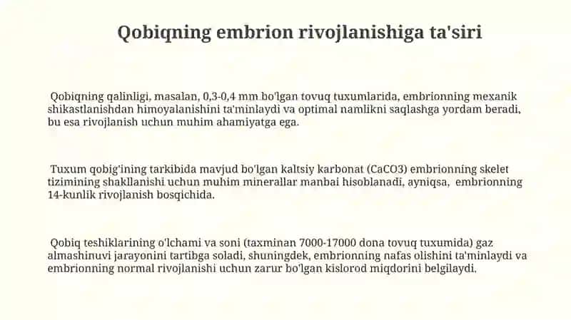 Tuxum hujayrasining qobiqlari ularning shakllanishi 3
