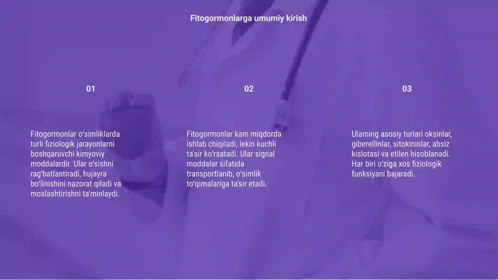 Fitogormonlar ta'sir etishining fiziologik asoslari 3
