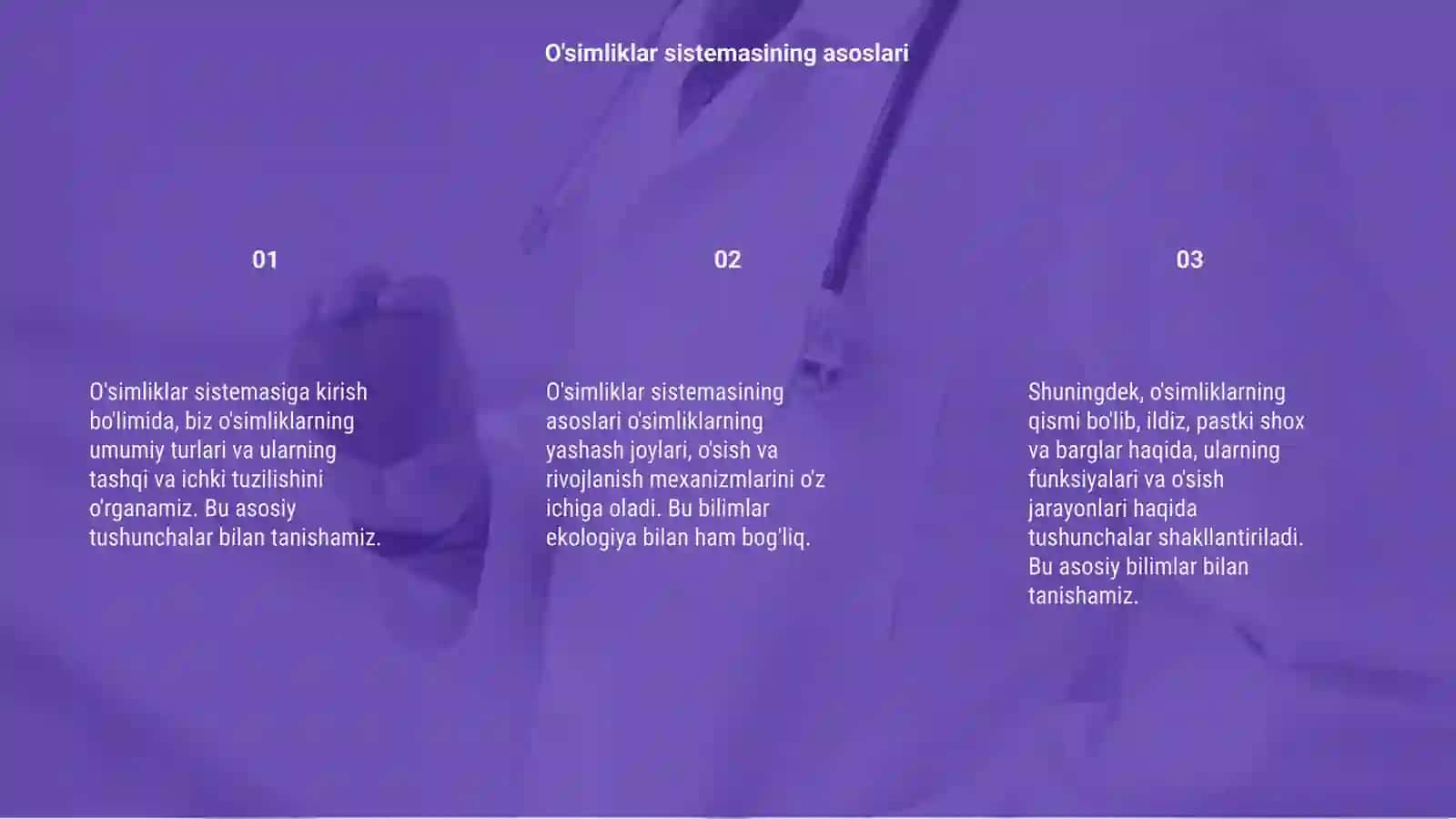 O'simliklar sistemasiga kirish 3