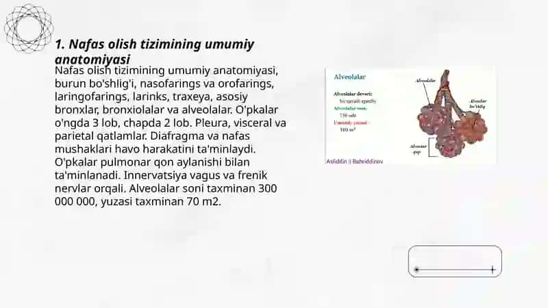 Nafas olish tizimi 3