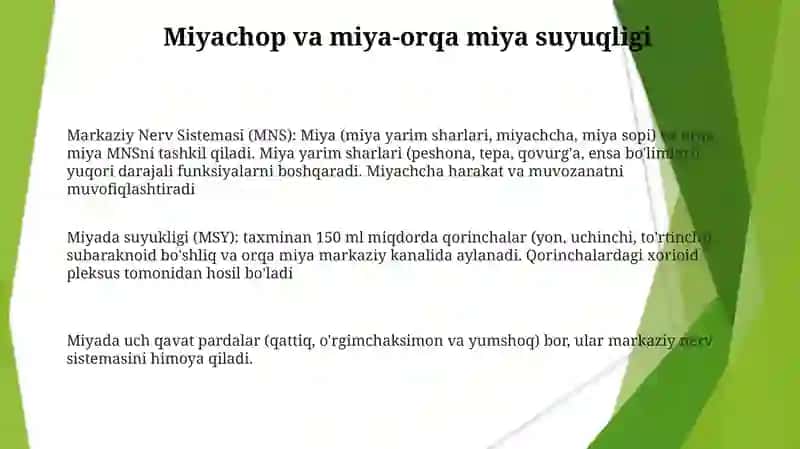 Markaziy nerv sistemasi anatomiyasi 3