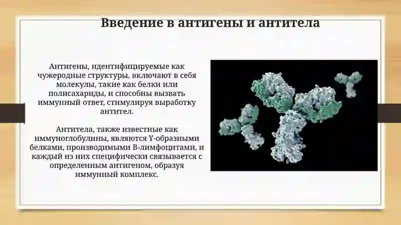 Антигениантитела 3