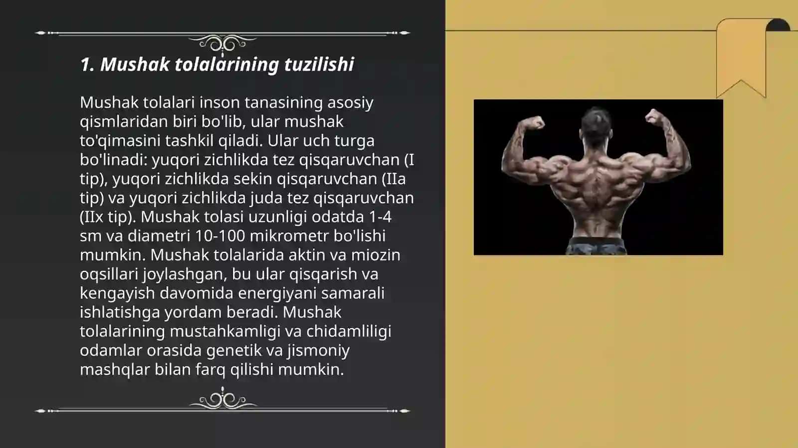 Mushak tolalarining tuzilishi 3