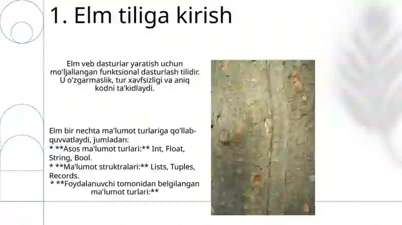 Olmoshning xususiyatlari va turlari 3
