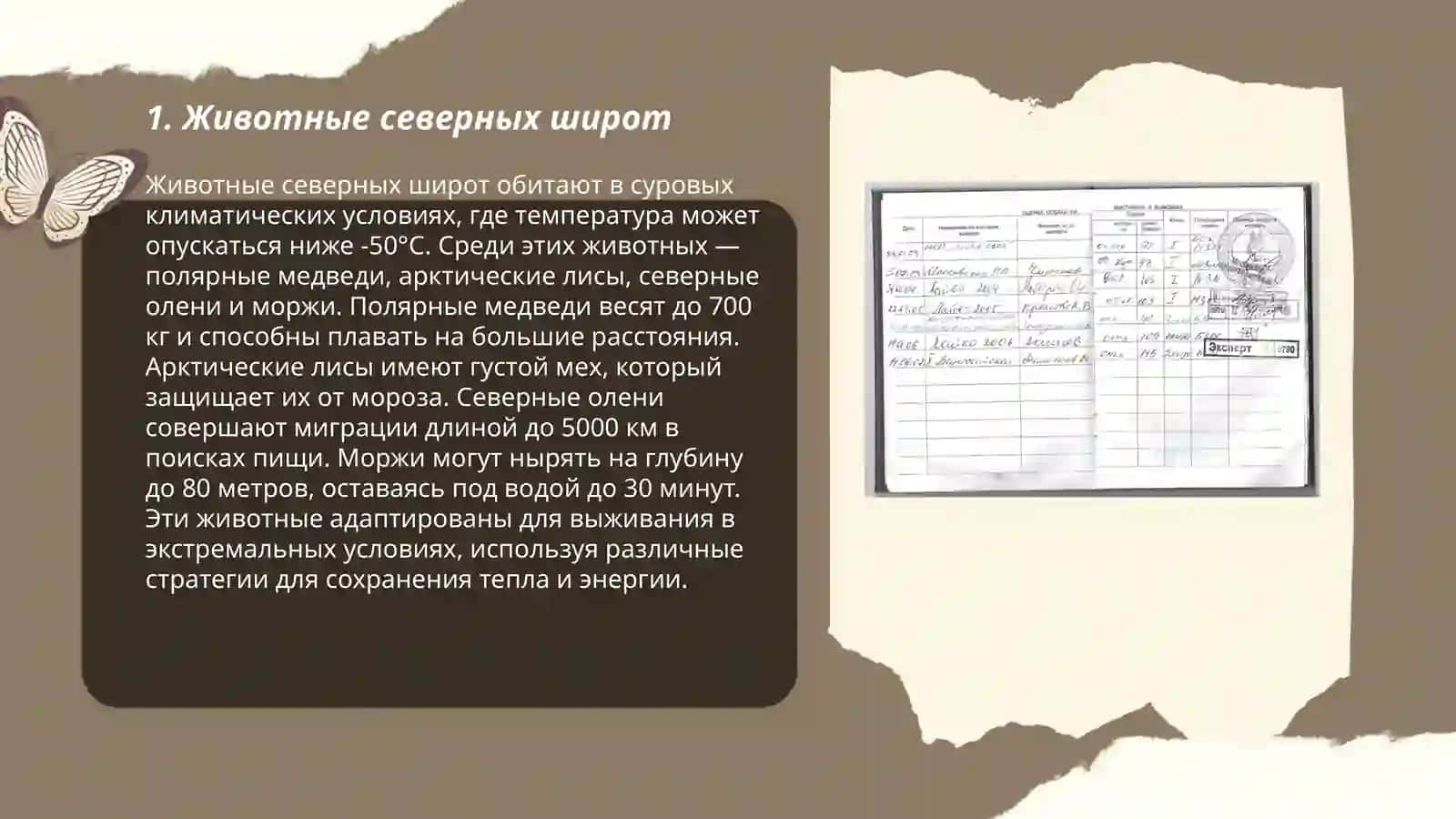 Кто на севере живёт? 3