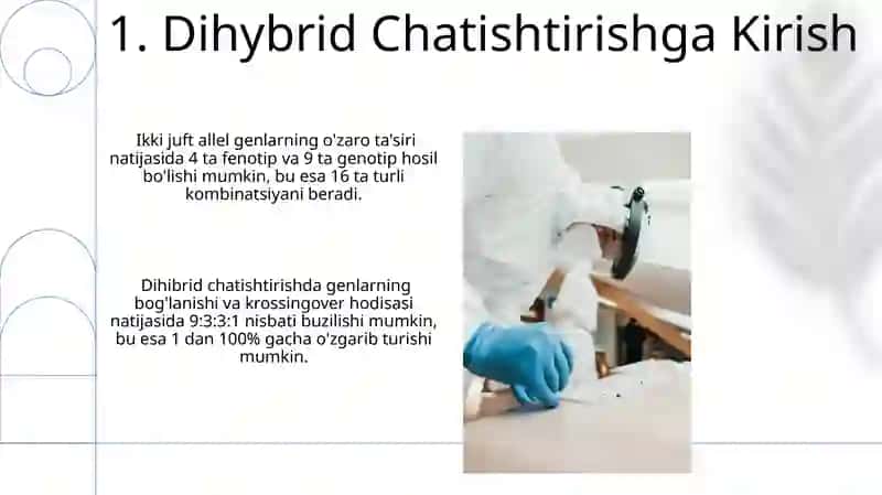 Dihybrid Chatishtirish 3