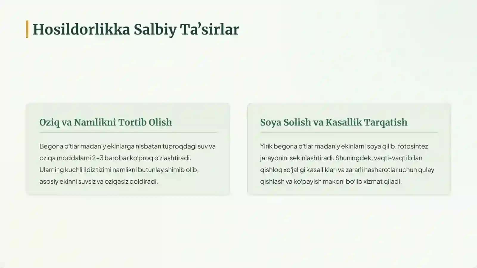Begona Oʻtlar Klassifikatsiyasi 3