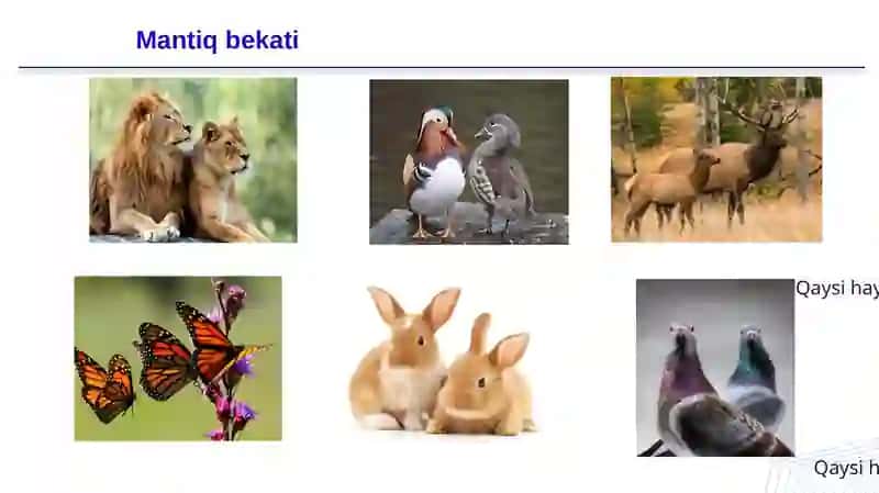 Jins genetikasi 3