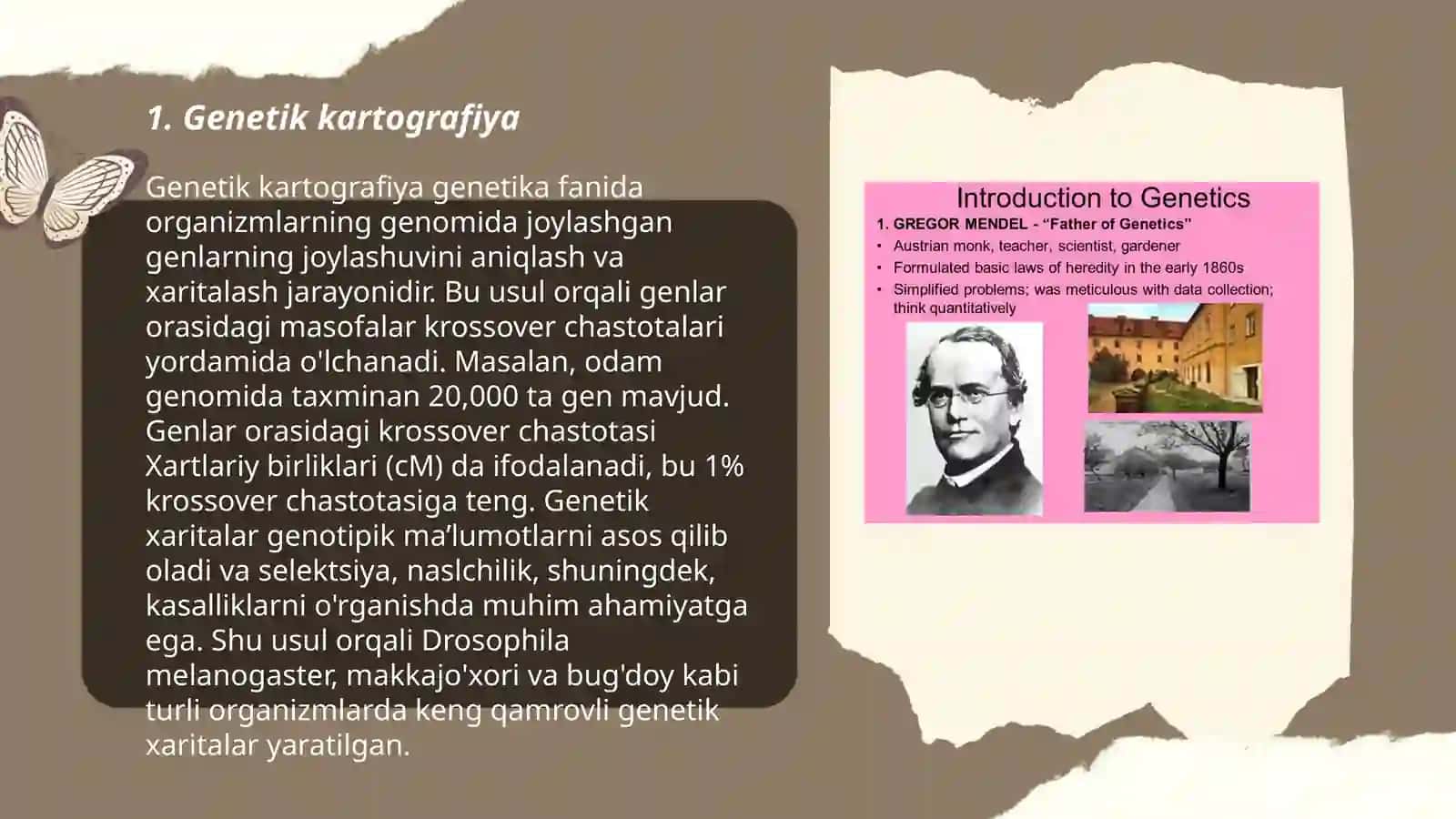 Inson genetikasini o'rganish usullari 3