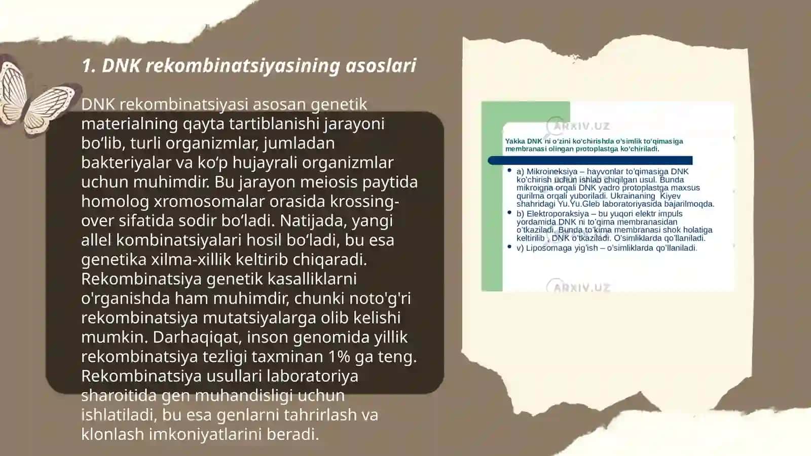 DNK rekombinatsiyasi 3