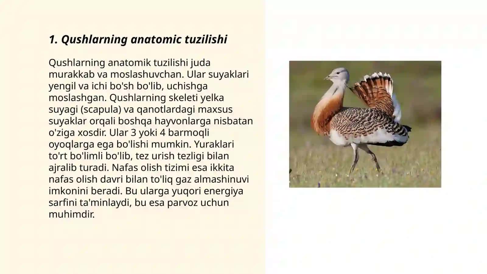Qush turkumlari 3