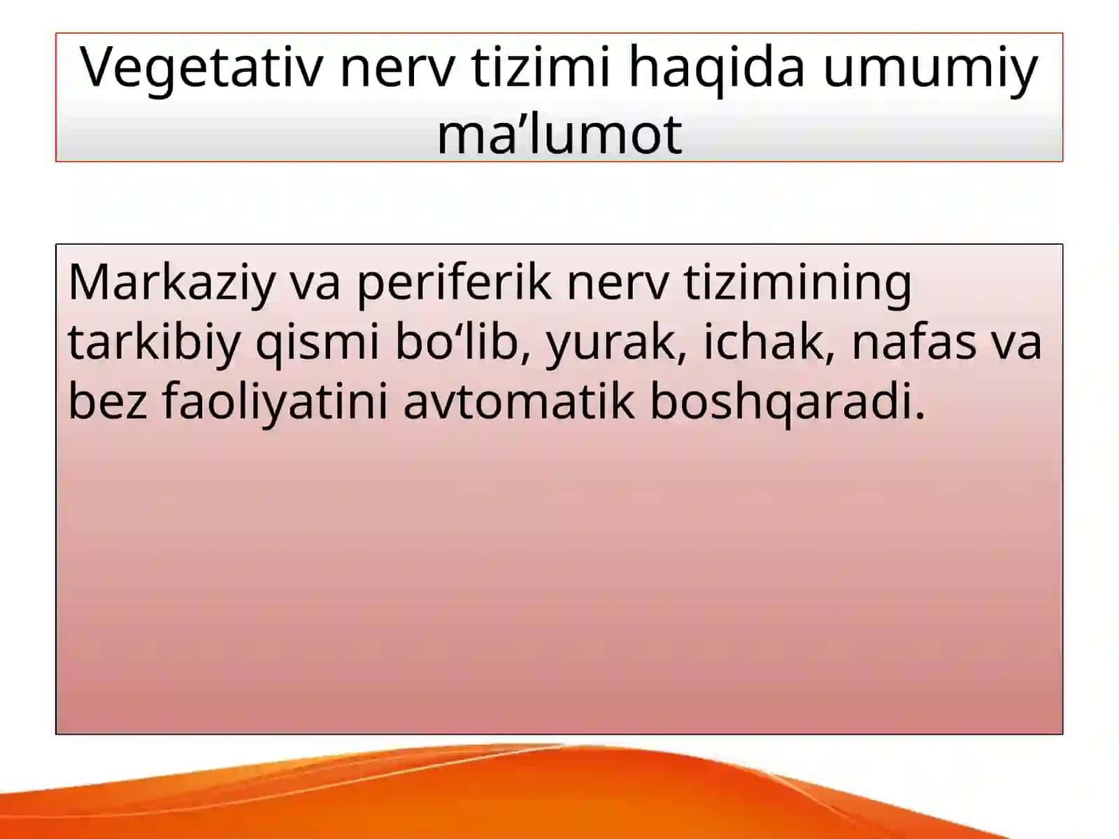 Vegetativ nerv tizimi 3