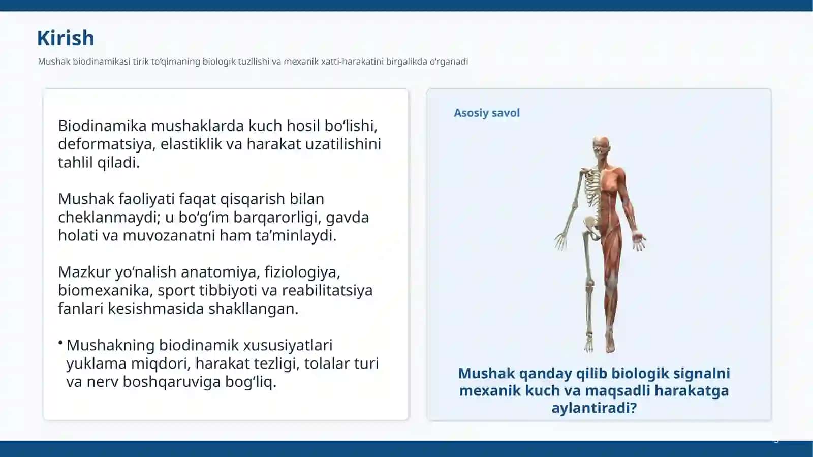 Mushaklar 3