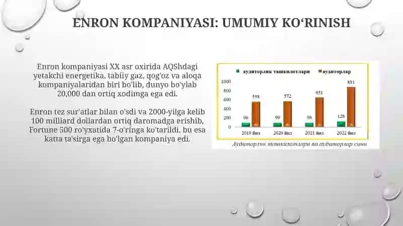 Auditorlik etikasi va Enron 3