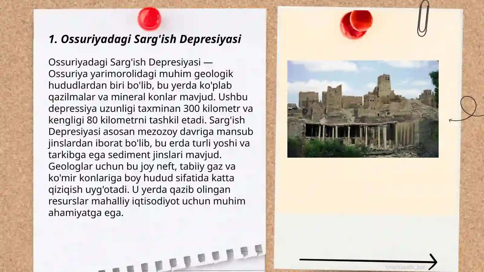 Ossuriyadagi Sarg'ish Depresiyasi 3