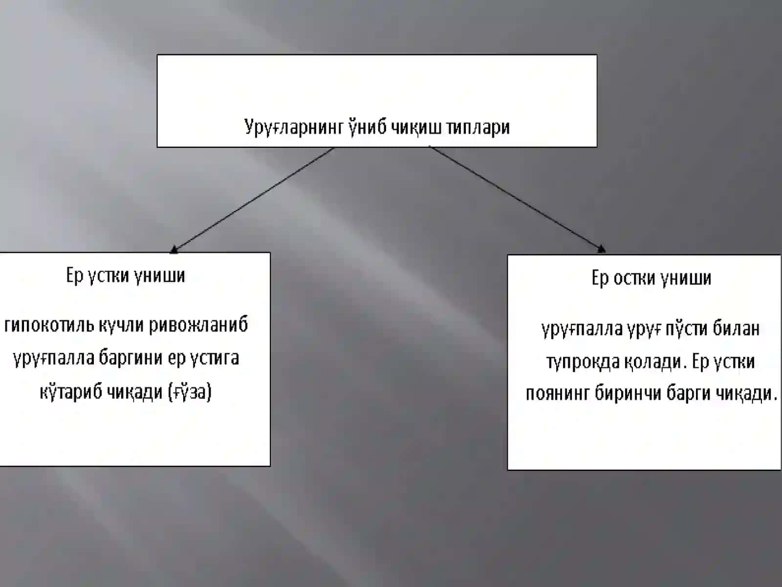 Urug’larning unishi va maysaning tuzilishi 3