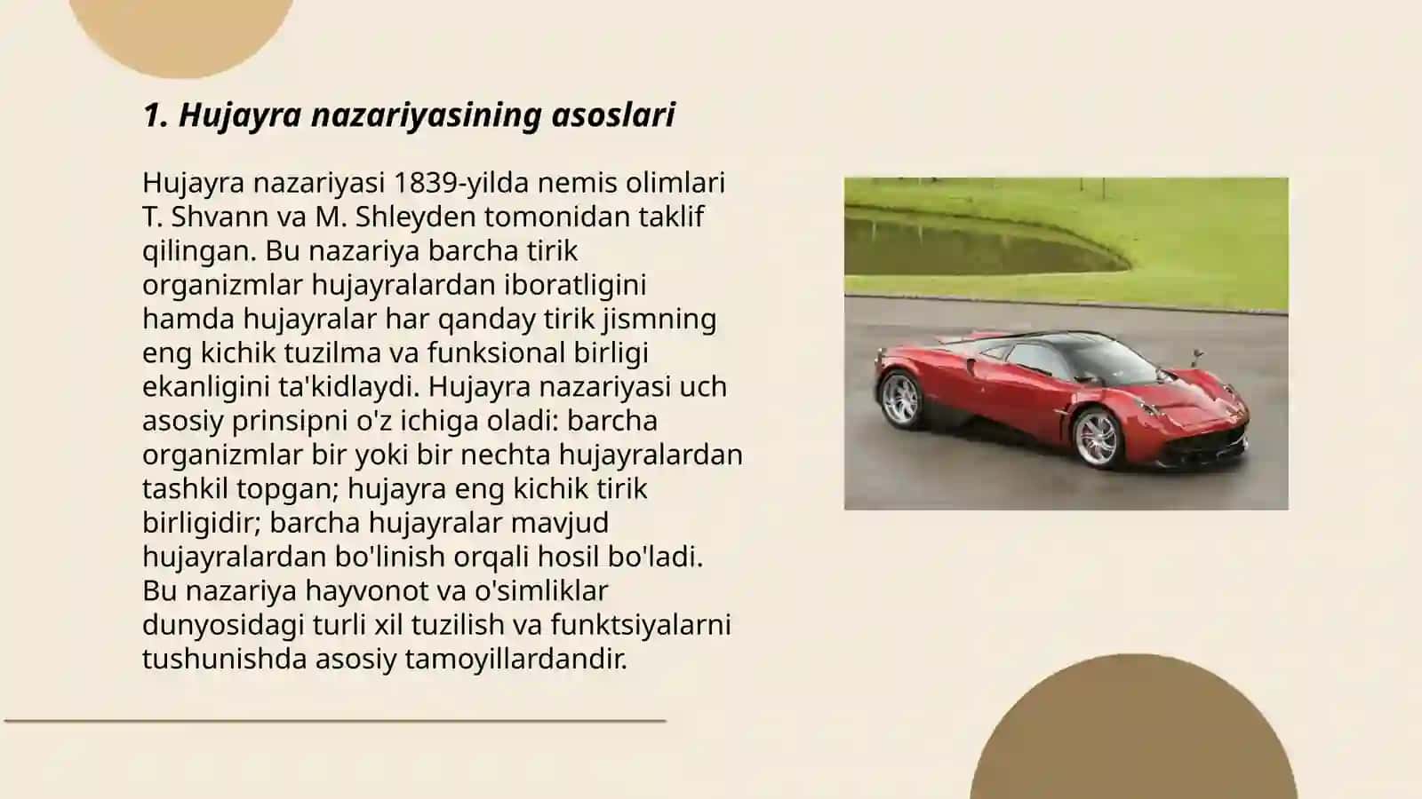 Hujayra nazariyasi 3