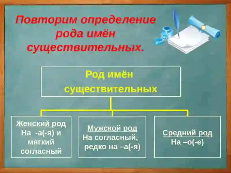 Род имён существительных 3