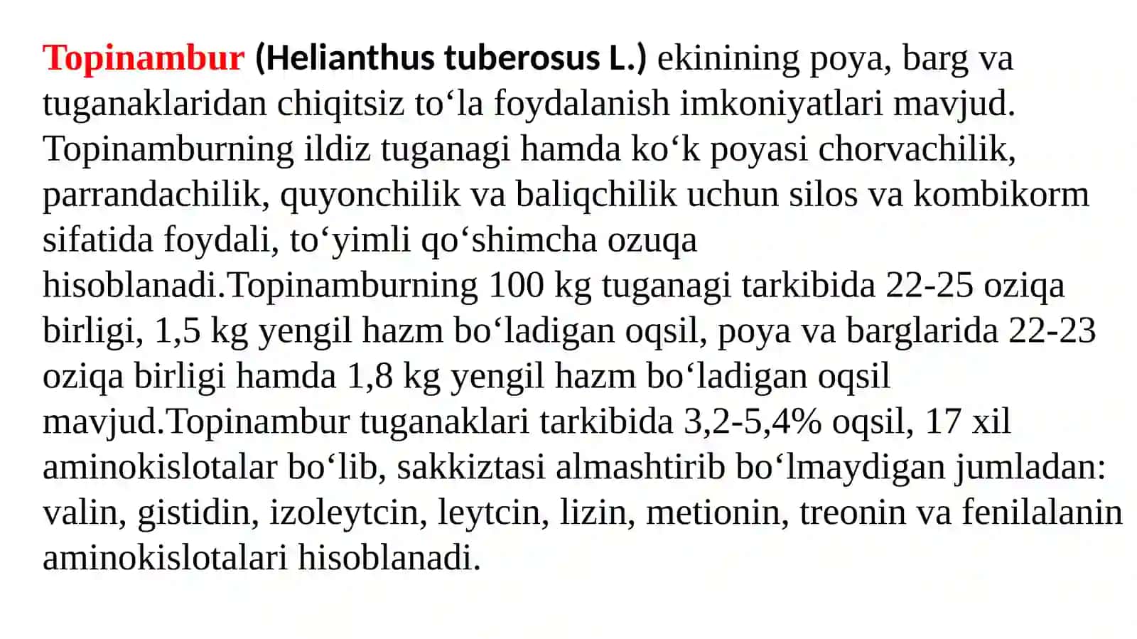 Topinambur (Helianthus tuberosus L.) 3