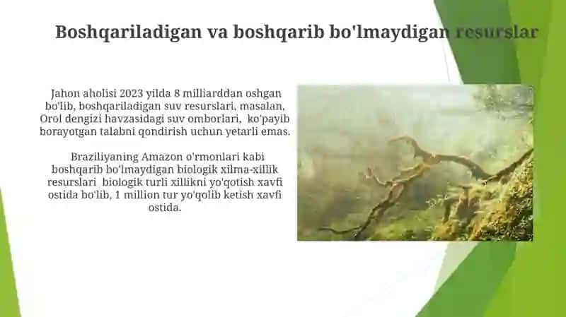 Ekologiya va uning muammolari 3