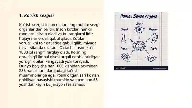 Sezgi organlari 3