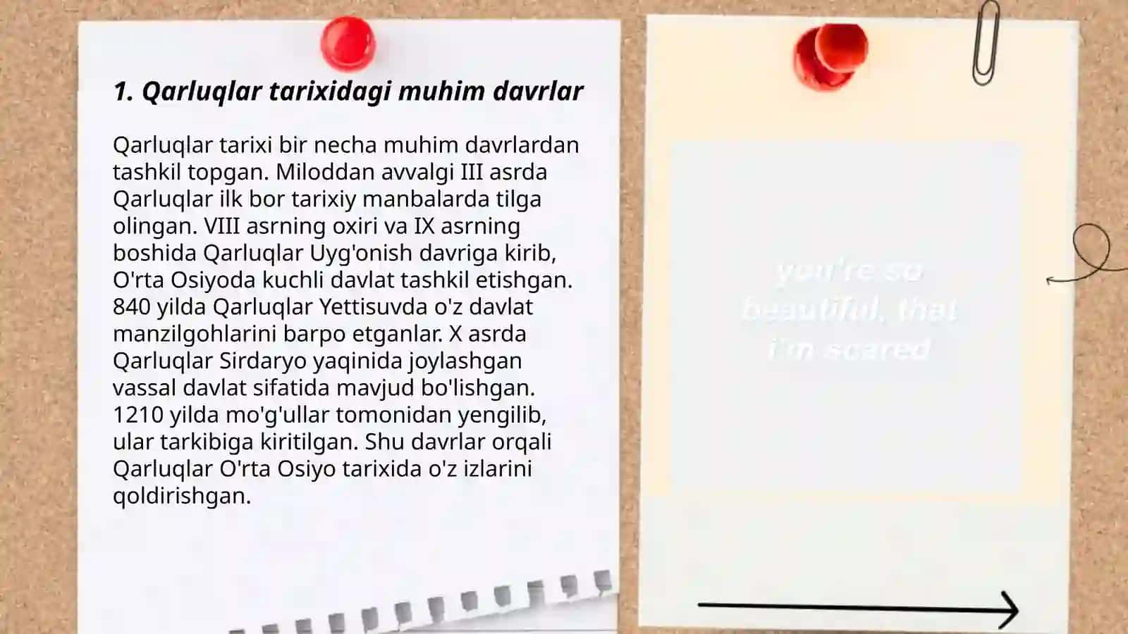 Qarluqlar. O'g'uzlar. Toxiriylar 3