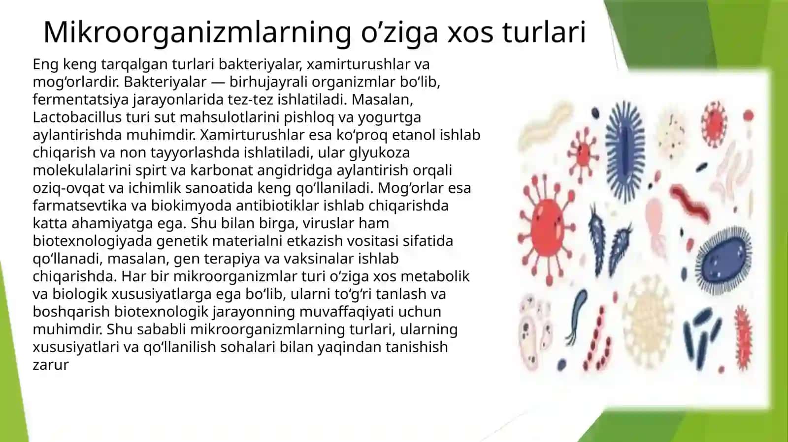 Mikroorganizmlar biotexnologiyasi 3