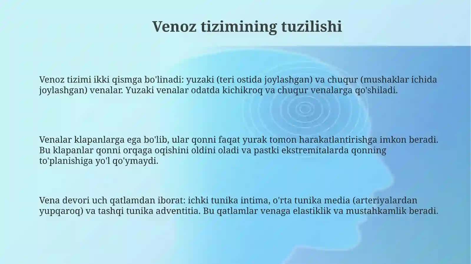 Vena sistemasi 3
