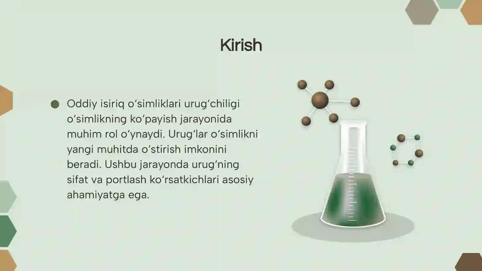 Oddiy isiriq o‘simligining urug‘chiligi 3