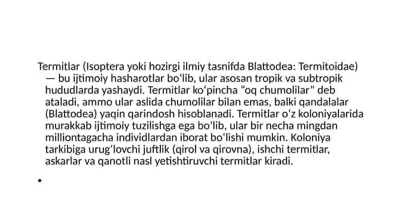 Termitlar 3