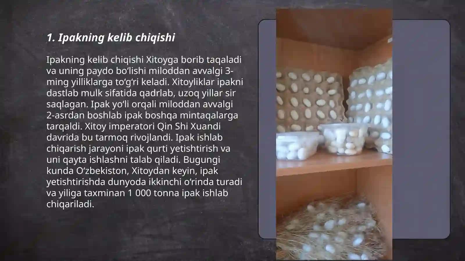 Ipak qurtining kelib chiqish tarixi va rivojlanishi 3