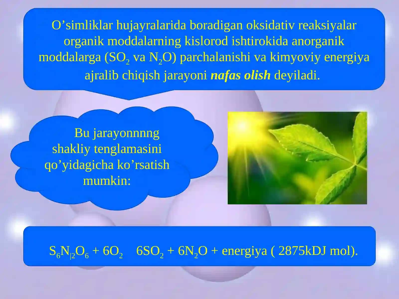 Nafas olish jarayonining ôrni 3
