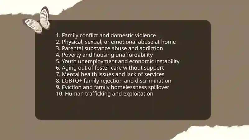 Young and Homelessness: Causes and Impacts 3