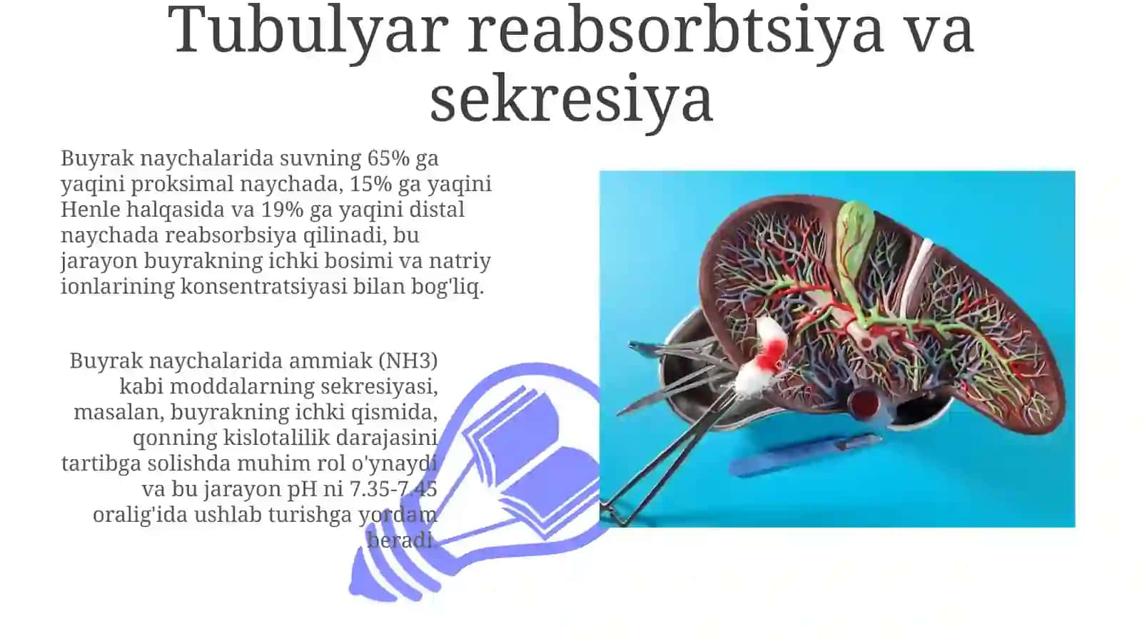 Buyrakbosimifiziologiyasi 3