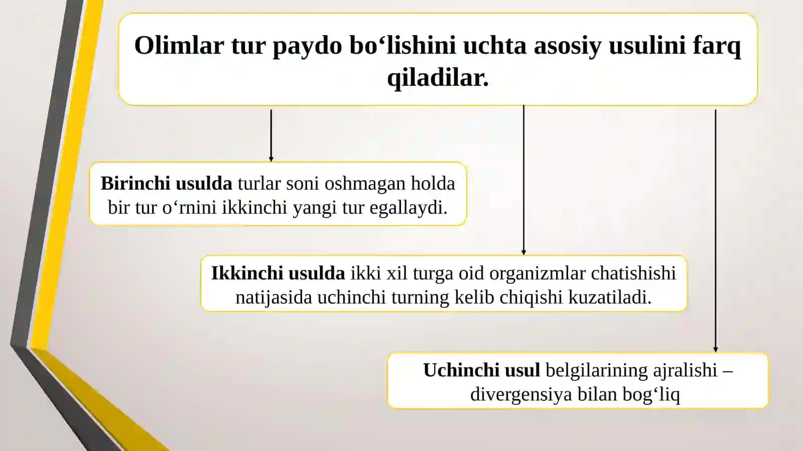 Turlarning paydo bo`lishi 3