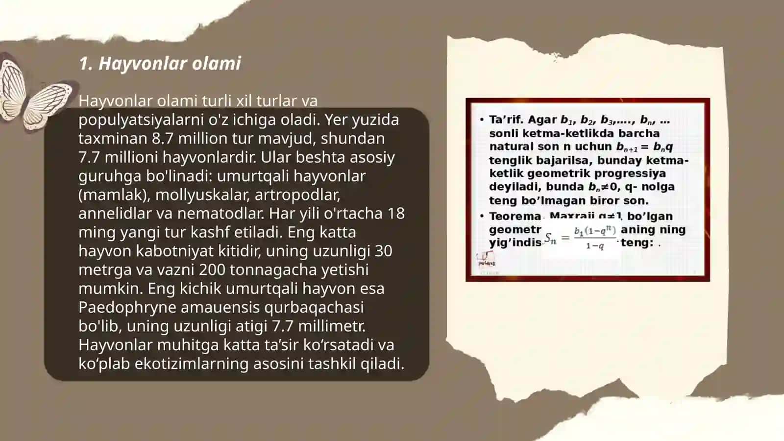 Hayvonlar olami 3