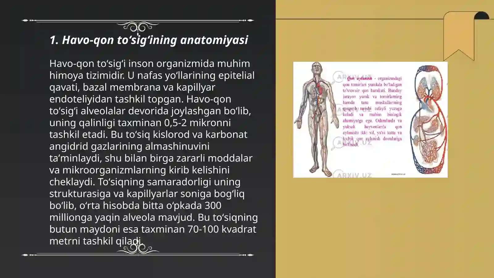 Havo-qon toʻsigʻining anatomiyasi 3