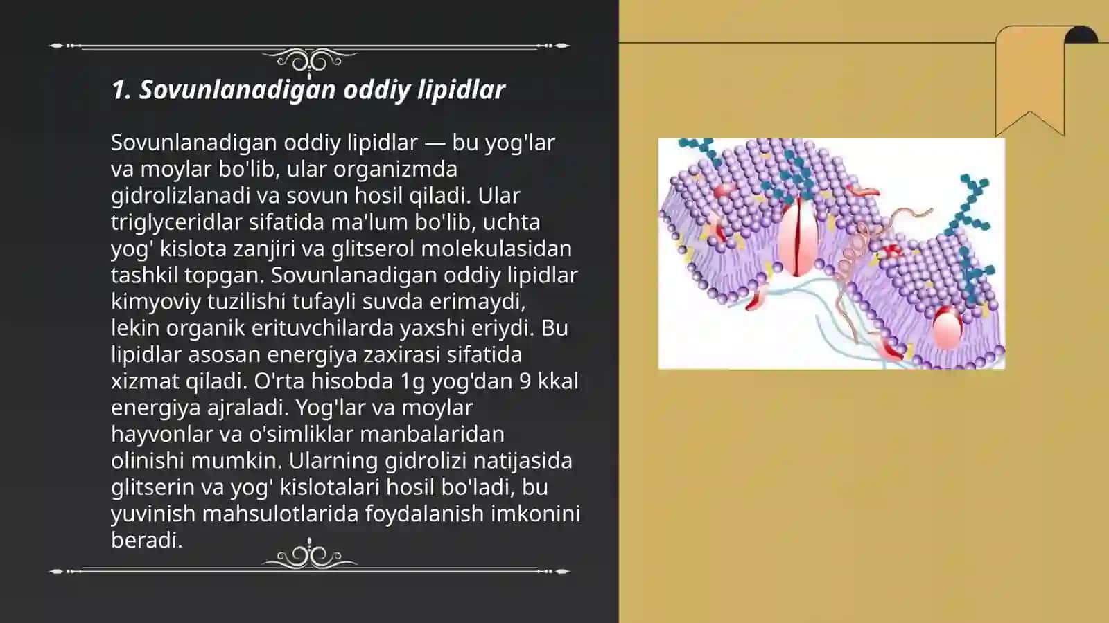 Lipidlar 3