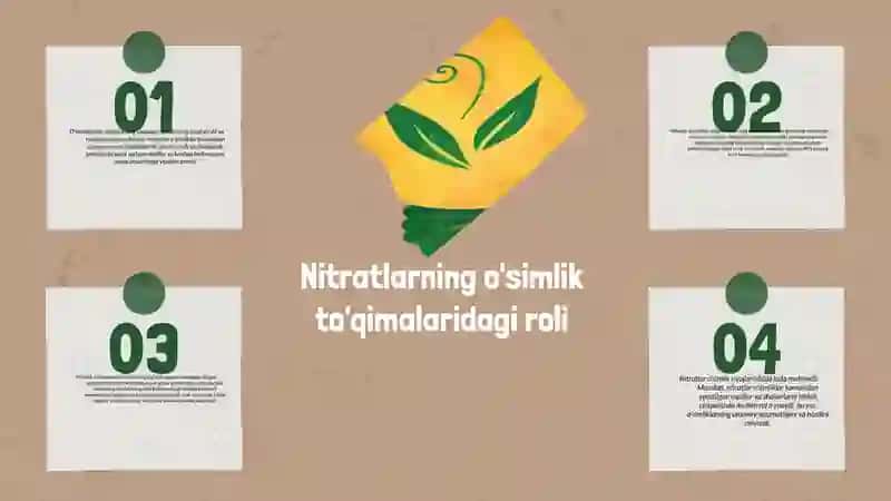 Nitratlarning simlik to'qimalarida roli va ta'siri 3