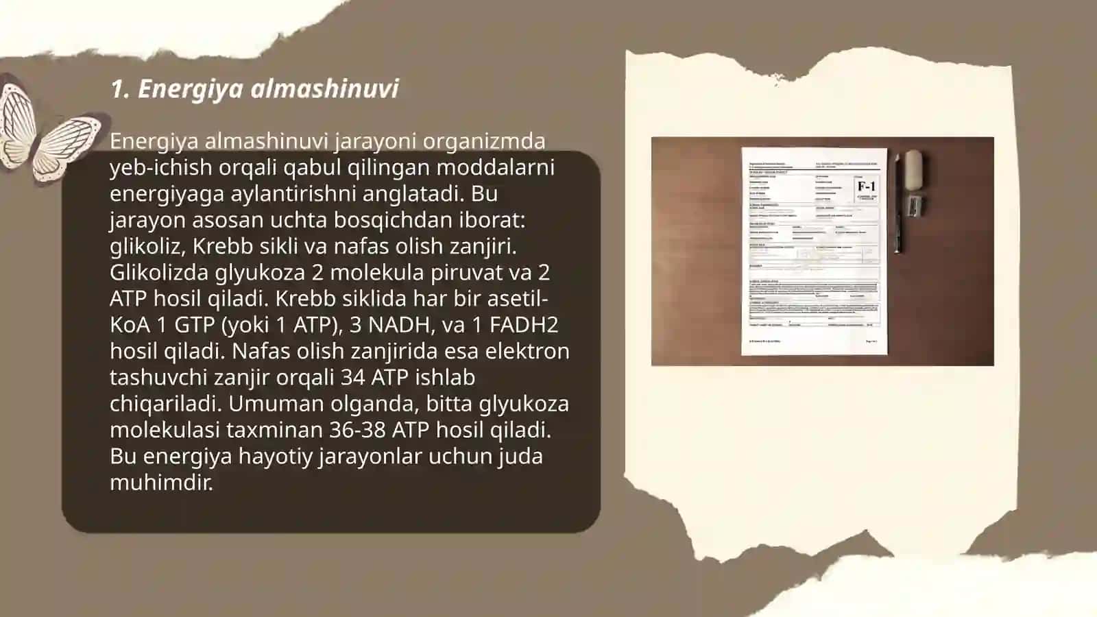 Energiya almashinuvi jarayoni 3