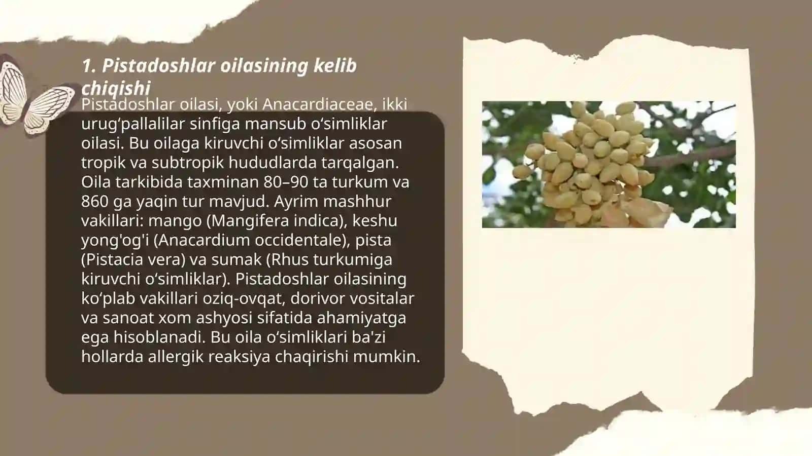 Pistadoshlar oilasi 3